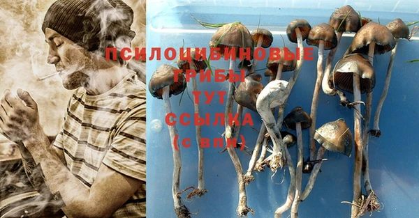кристаллы Бугульма