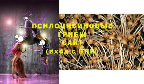каннабис Богданович