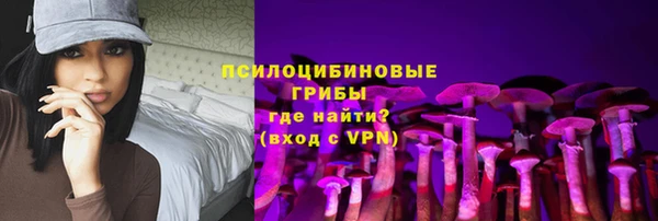 2c-b Богородск