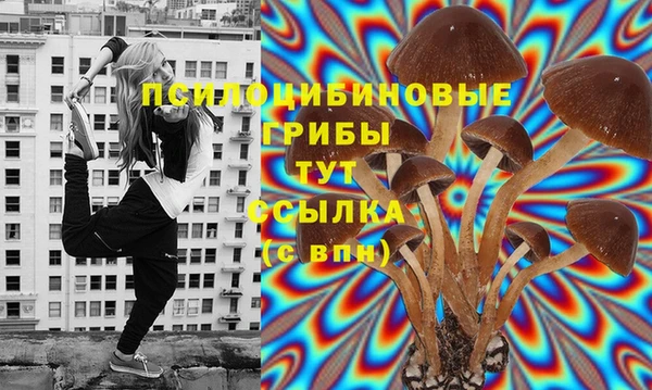 каннабис Богданович