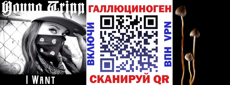 Псилоцибиновые грибы мухоморы  OMG зеркало  Котельнич 